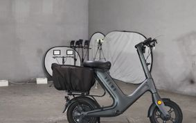OTHER MINI BIKE ..
