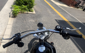 HARLEY XL1200L 2007 CX3