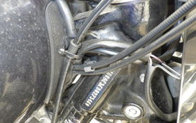 HARLEY FLSTC 1580 2014