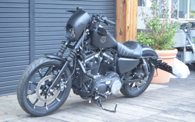 HARLEY XL883N 2019 LE2