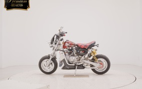 OTHER +UNREGISTERED MODEL by BDS125 2007 GC