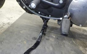 HARLEY XL883N 2020
