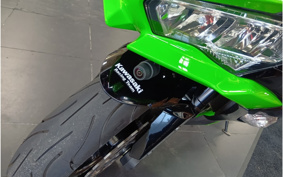 KAWASAKI NINJA ZX-6R 2020 ZX636G