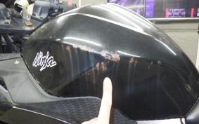 KAWASAKI NINJA 250 2010 EX250L