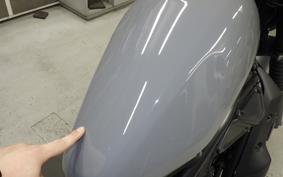 HONDA REBEL 250 S 2019 MC49