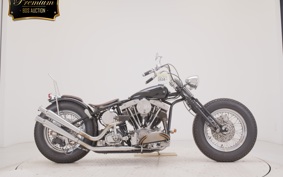 OTHER +UNREGISTERED MODEL by BDS1300 2006