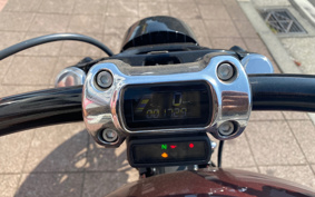 HARLEY FXBRS 2019 YHK