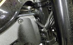 KAWASAKI Z900RS 2020 ZR900C