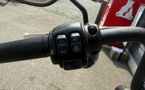 HARLEY FXBBS 2021 YYK