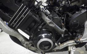 YAMAHA FZ250 1HX