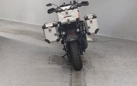 HARLEY  HARLEY RA1250S ZES