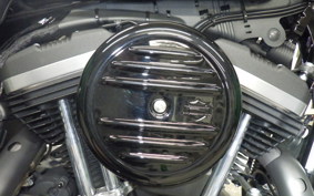 HARLEY XL883N 2021