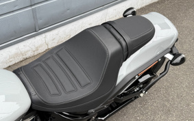 HARLEY  HARLEY FXFBS 2024 YLK