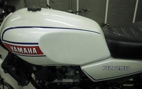 YAMAHA RZ 250 2025 4L3