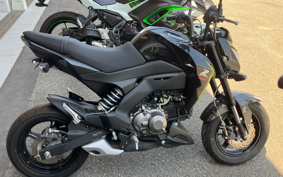KAWASAKI Z125 PRO BR125H