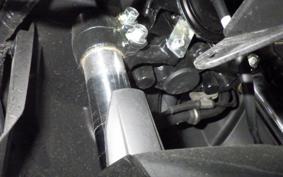 YAMAHA CYGNUSｸﾞﾘﾌｧｽ SEJ4J