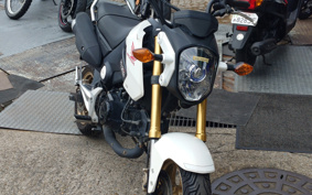 HONDA GROM JC61