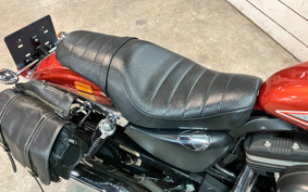 HARLEY XL883R 2010 CS2