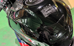 BMW M1000RR NAVY BLUE PETISHON 1993 0P01