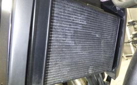 KAWASAKI VULCAN 650 SA 2020 EN650G