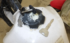 YAMAHA SEROW 225 W 4JG