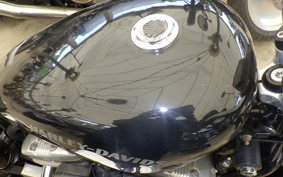 HARLEY XL883LI