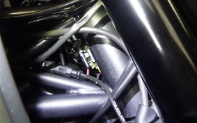 DUCATI DIAVEL Carbon 2011