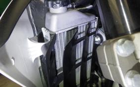 YAMAHA WR250X 2009 DG15J