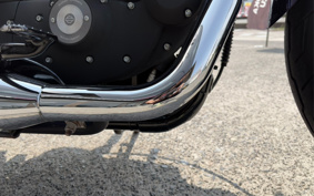 HARLEY XL883N 2014 LE2