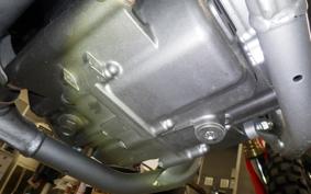 HONDA CRF250L 2024 MD47