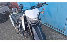KAWASAKI KLX125D TRACKER X LX250V