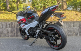 KAWASAKI NINJA 400 2020 EX400G