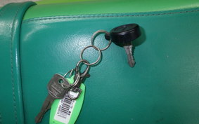KAWASAKI KDX200SR Gen.2 2020 DX200G