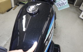 HARLEY XL1200NS 2019