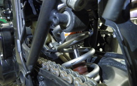 KAWASAKI KLX250D TRACKER X 2021 LX250V