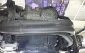 HONDA HORNET 250 2010 MC31