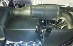 TRIUMPH TRIDENT 800 2026