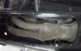 KAWASAKI ZZ-R400 Gen.2 2000 ZX400N