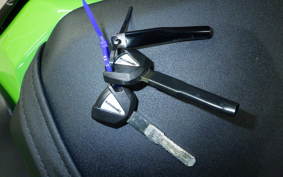 KAWASAKI ZX 10 NINJA ABS 2021 ZXT02L