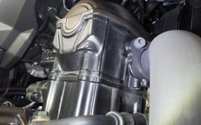 SUZUKI Vｽﾄﾛｰﾑ250SX 2013 EL11L