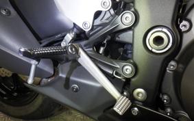 KAWASAKI NINJA ZX-6R A 2019 ZX636G