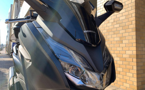 HONDA  FORZA 250 MF13