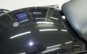 HARLEY FXLRS1920 2024