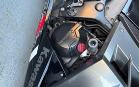 KAWASAKI NINJA 250 EX250L