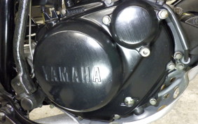 YAMAHA TW200 Gen.2 DG07J