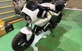 OTHER CFMOTO XO-1 PAPIO