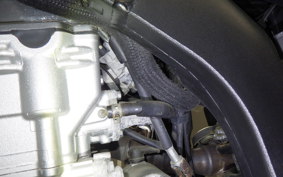 YAMAHA WR250X 2020 DG15J