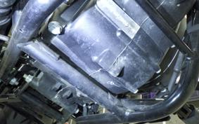 OTHER +ENFIELD ﾒﾃｵ350 2025