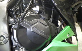 KAWASAKI Z300 2022