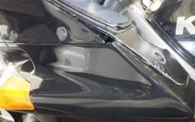 KAWASAKI ZZ-R250 EX250H